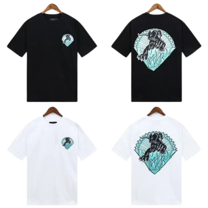 Amiri T-Shirt (2 Colorways)