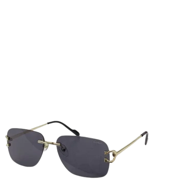 Cartier Big C Glasses (7 Styles)