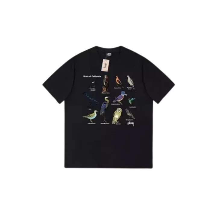Stussy T-Shirt (5 Colorways)