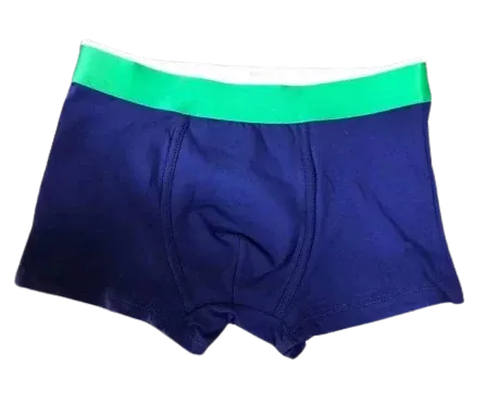 Lacoste Boxers (5+ Colorways)