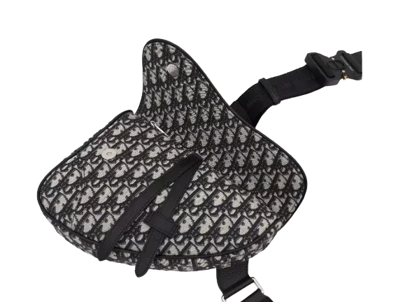 Dior Bag #3
