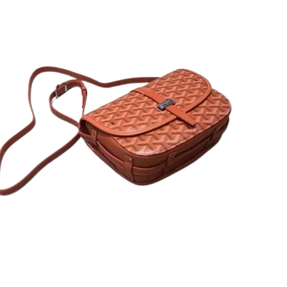 Goyard Belvedere Bags (13+ Colourways)