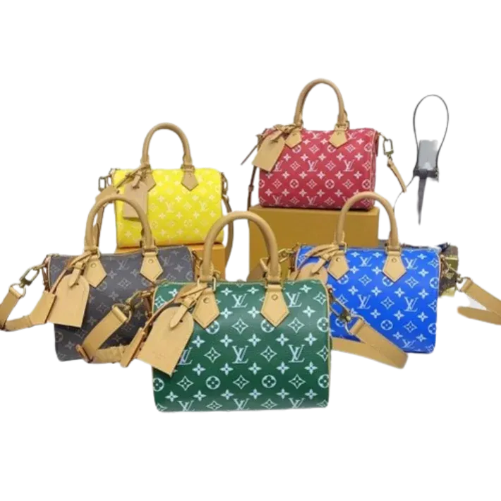Louis Vuitton Bag (5 Colorways)