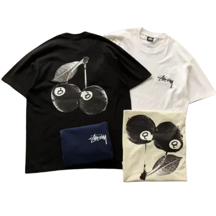 Stussy T-Shirt (4 Colorways)