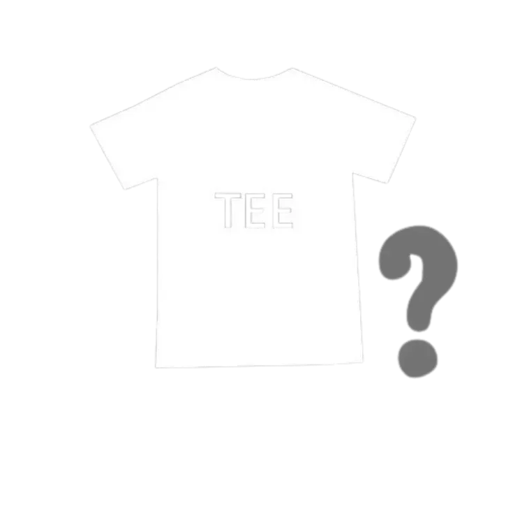 Trapstar Random T-Shirt