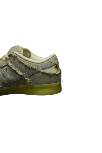 Changes Color in Sunlight Air Force 1