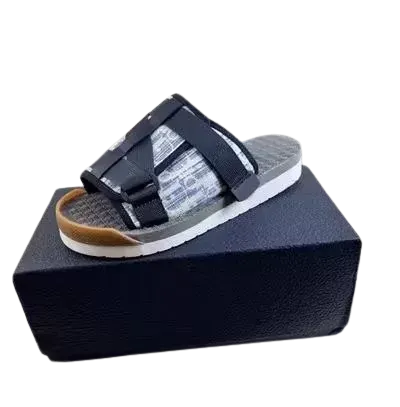 Dior Slides