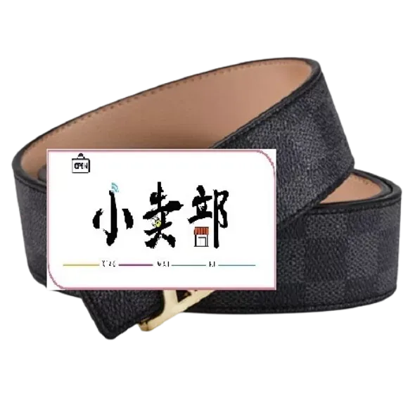 Budget LV belt
